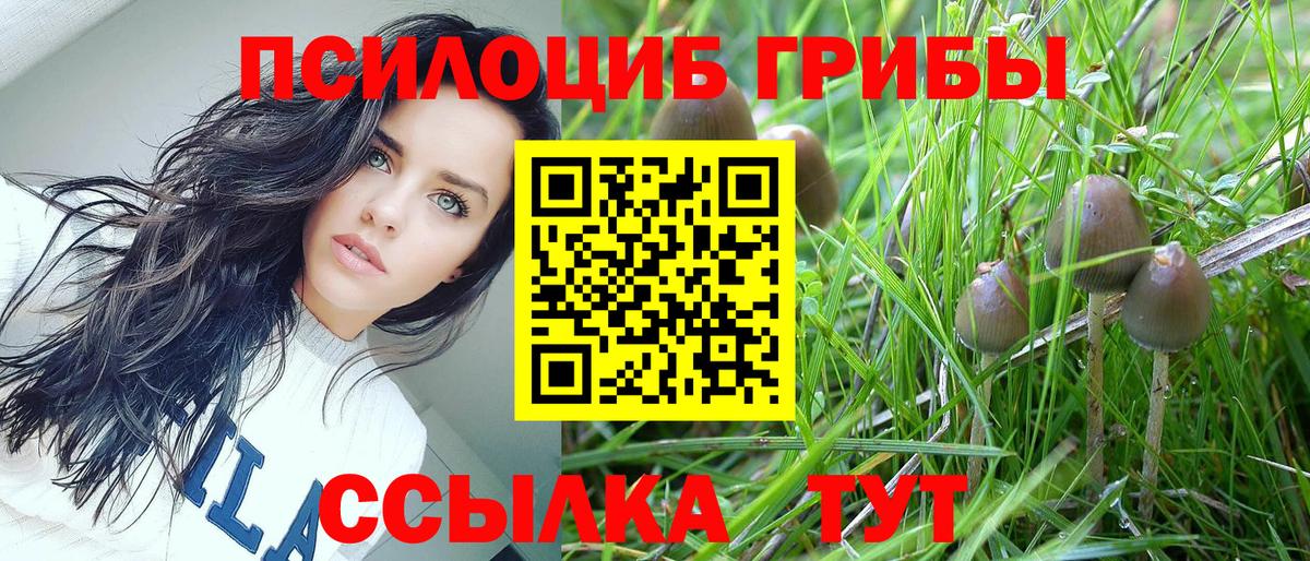 Галлюциногенные грибы GOLDEN TEACHER  Вход с VPN  Жигулёвск  Псилоцибиновые грибы прущие грибы 